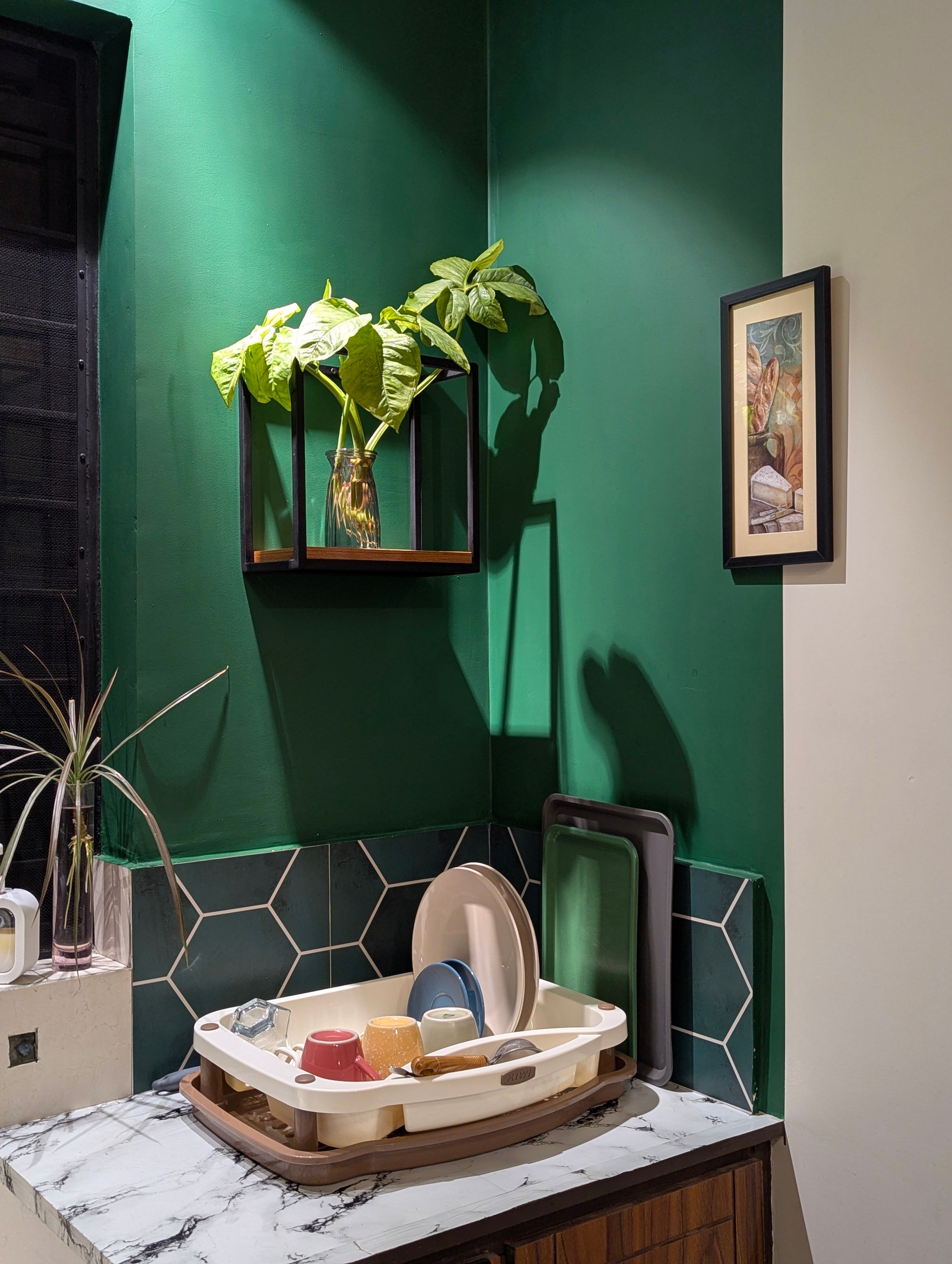 Sage Kitchen — painted by PaintKing in Wellington