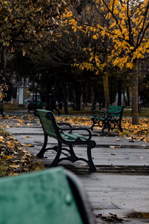 Free Serene park scene with benches amidst colorful autumn foliage in Eskişehir, Turkey. Stock Photo