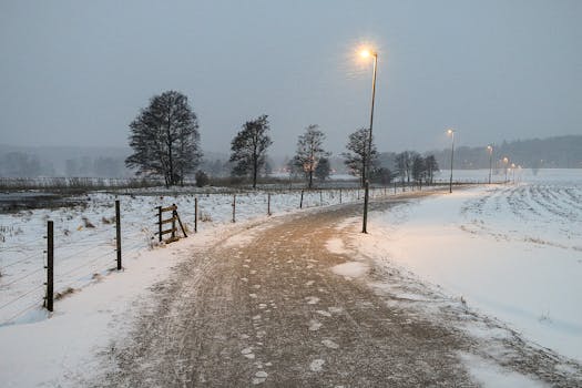 Photo by Tony Zohari