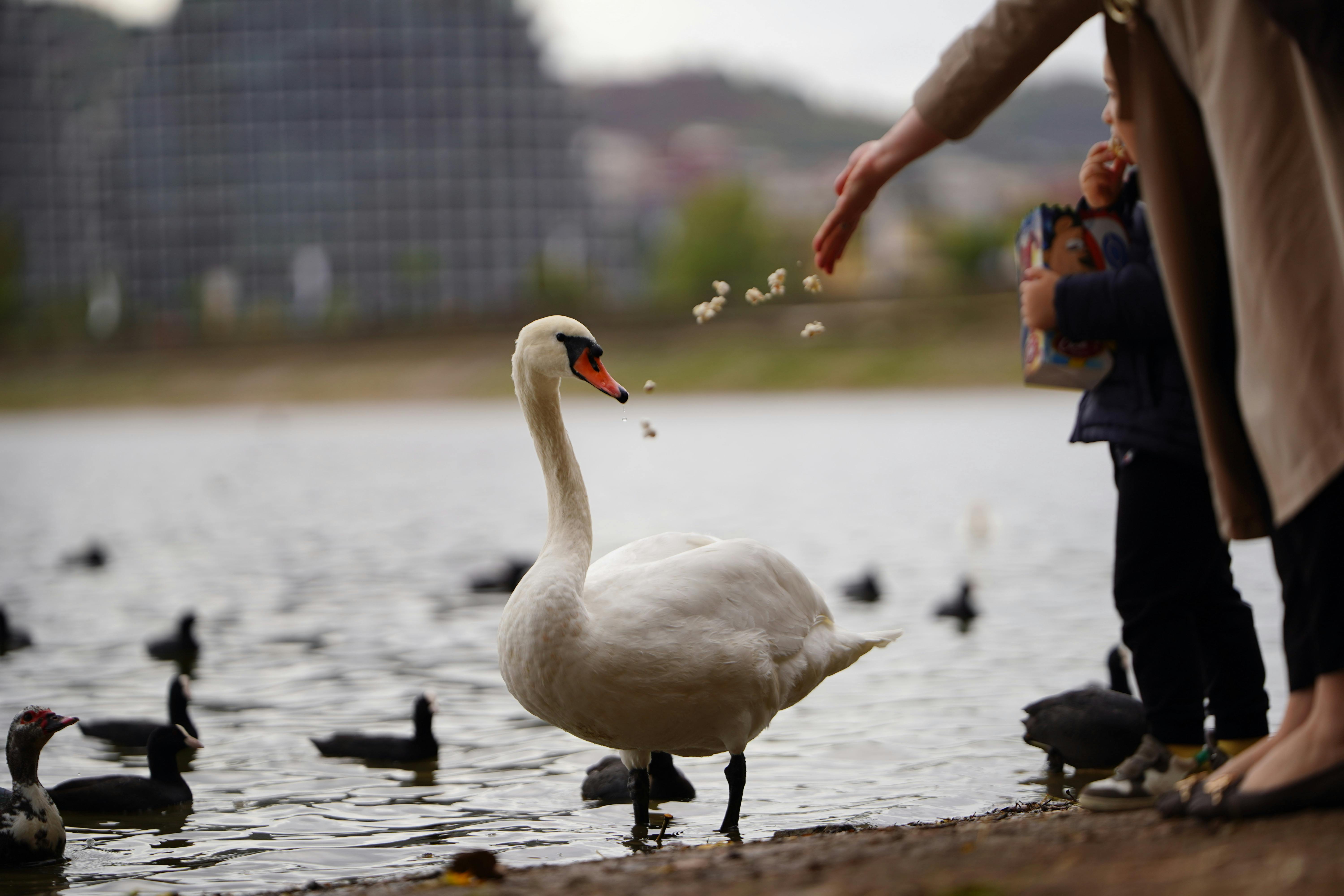 Discovering Secret Desires That Ignite a Powerful Connection