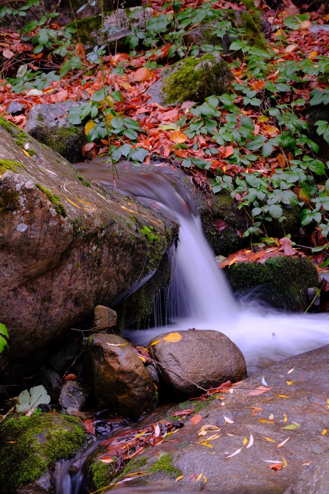 Mini Waterfall Photos, Download The BEST Free Mini Waterfall Stock ...