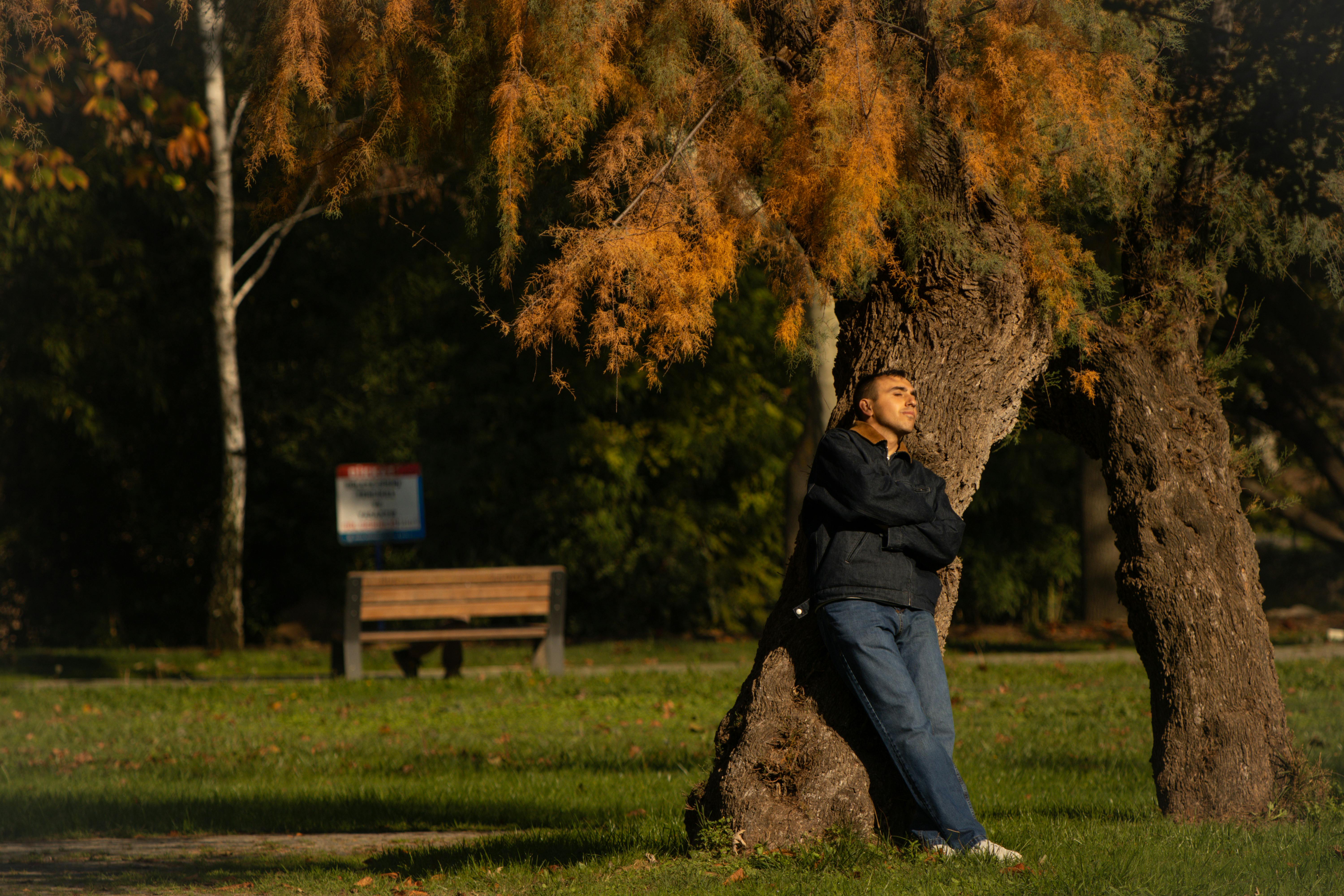 무료 가을에 터키 부르사의 한 공원에서 나무에 기대어 있는 한 남자. 스톡 사진