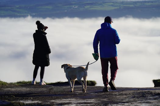 a man woman and dog looking down at cloud inversion. 