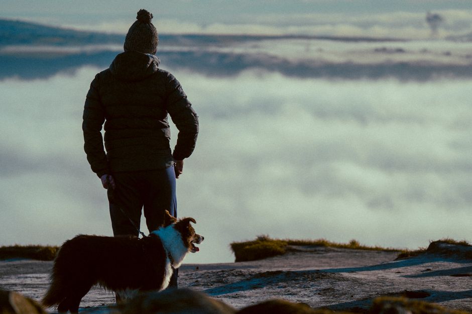 A man with a Border Collie enjoys a serene hike atop a hill in Northern Ireland.