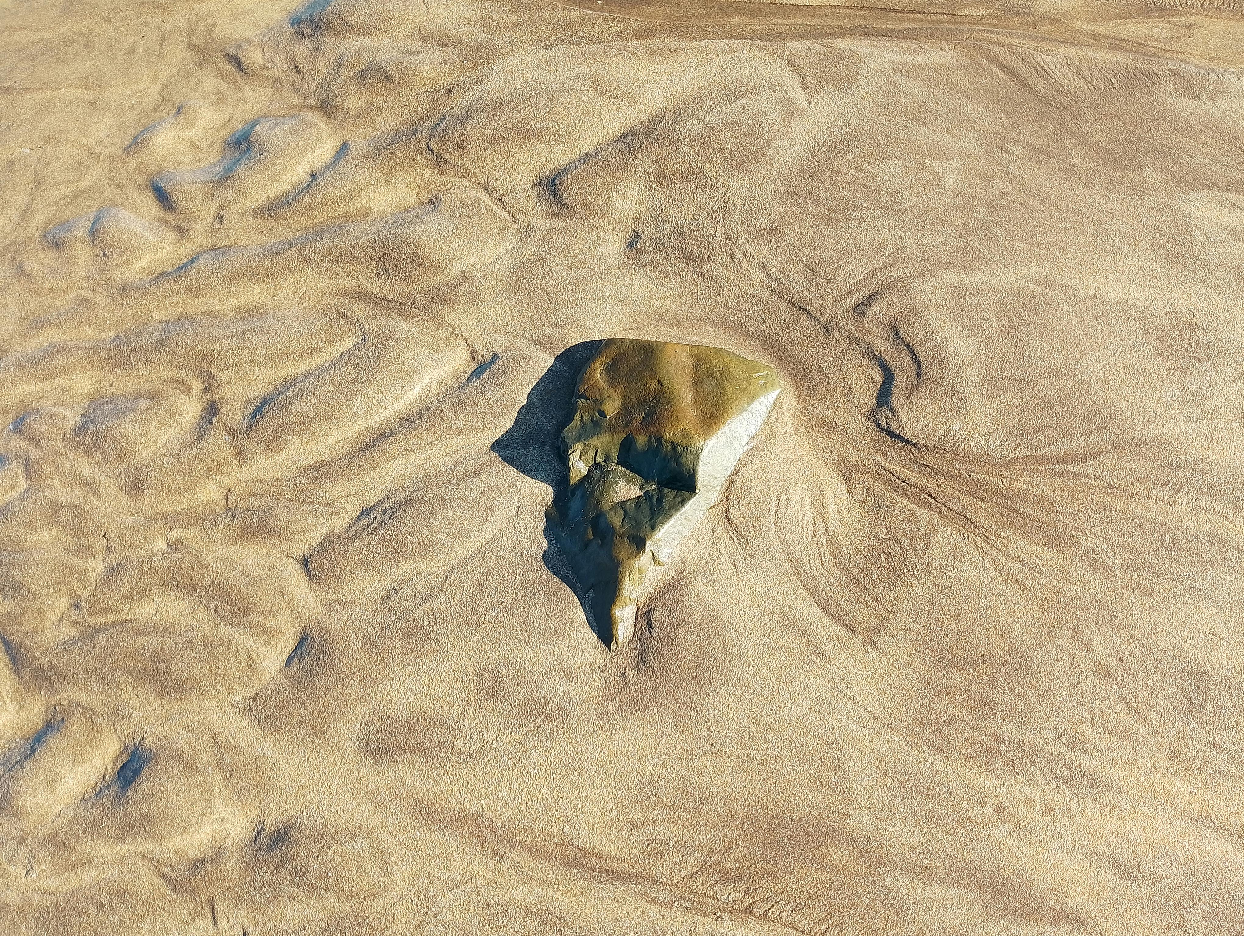 主動式台股ETF規模挑戰千億，科技型最受投資者青睞