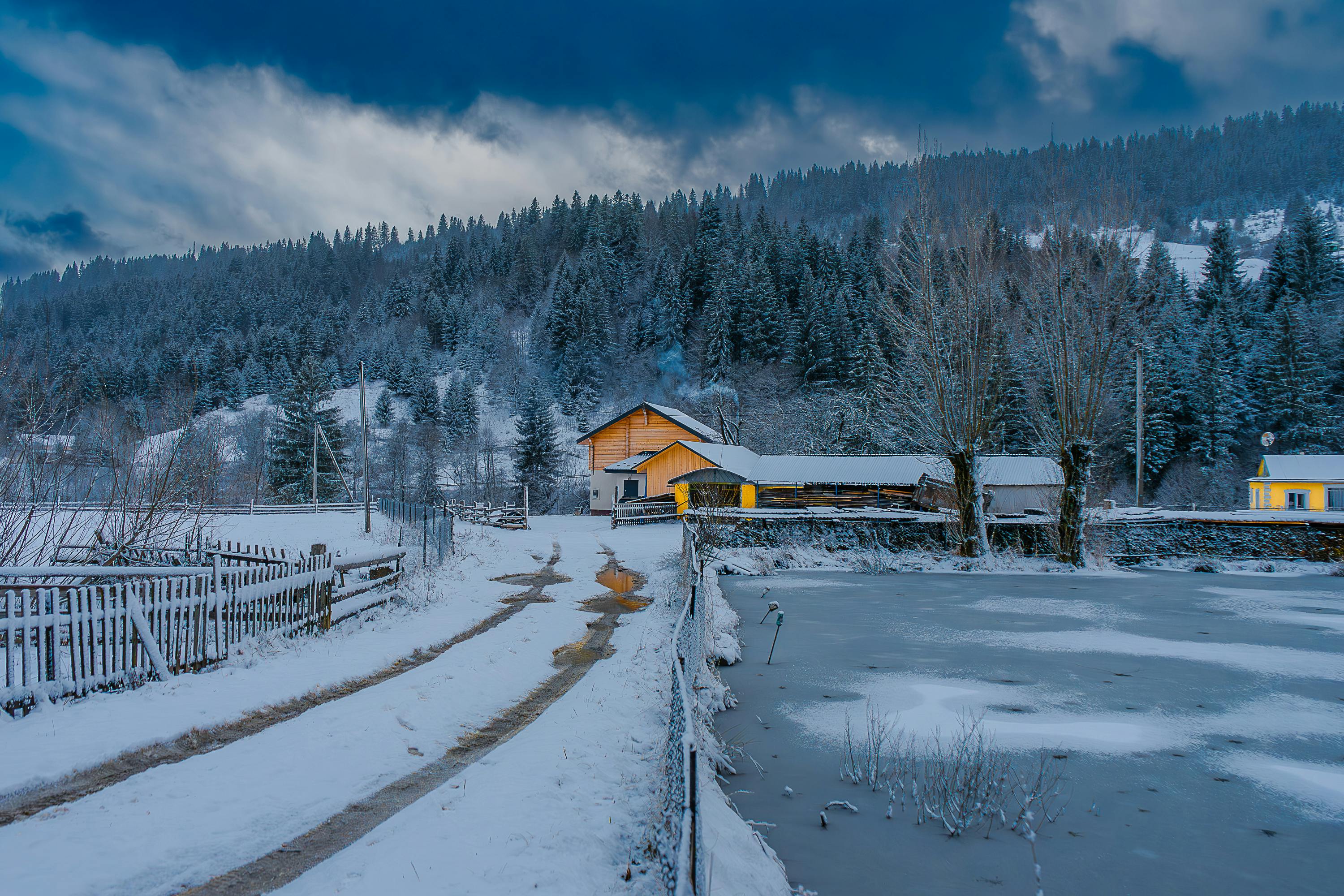 Why Your Cucumbers Taste Bitter and How to Fix It