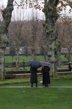 Couple under umbrellas walking in a rainy autumn park.