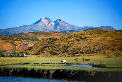 Beautiful horses grazing by a water body with a striking mountain backdrop, under clear blue skies.