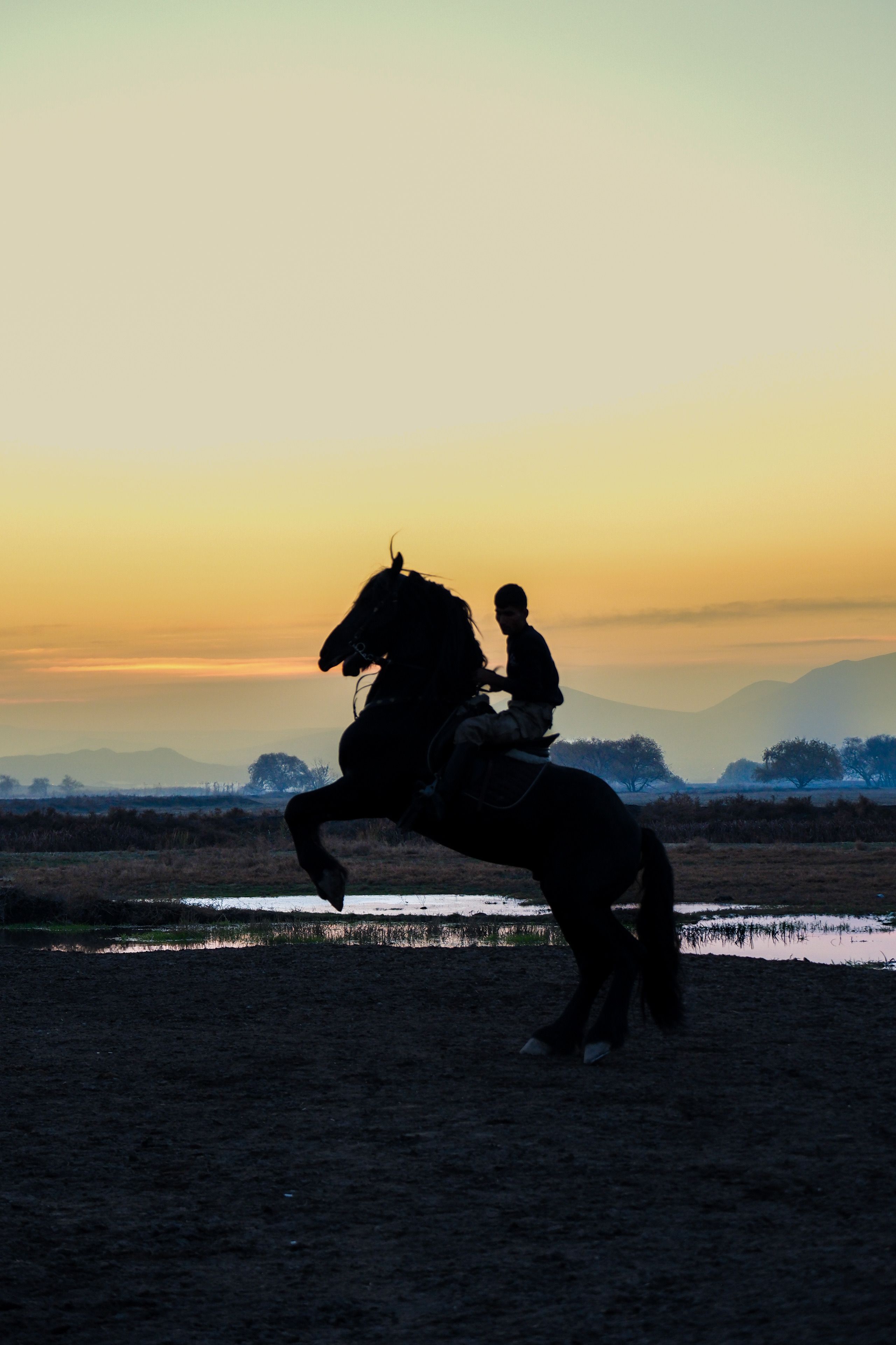 Silhouette of Horse and Rider at Sunset · Free Stock Photo
