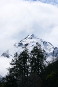 Stunning view of a snow-covered mountain peak surrounded by clouds and trees.