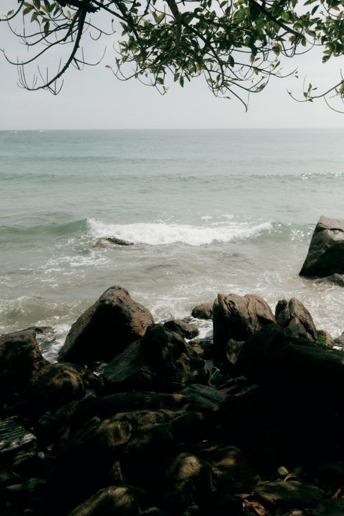 Free Serene coastal scene with rocks, gentle waves, and overhanging branches. Stock Photo