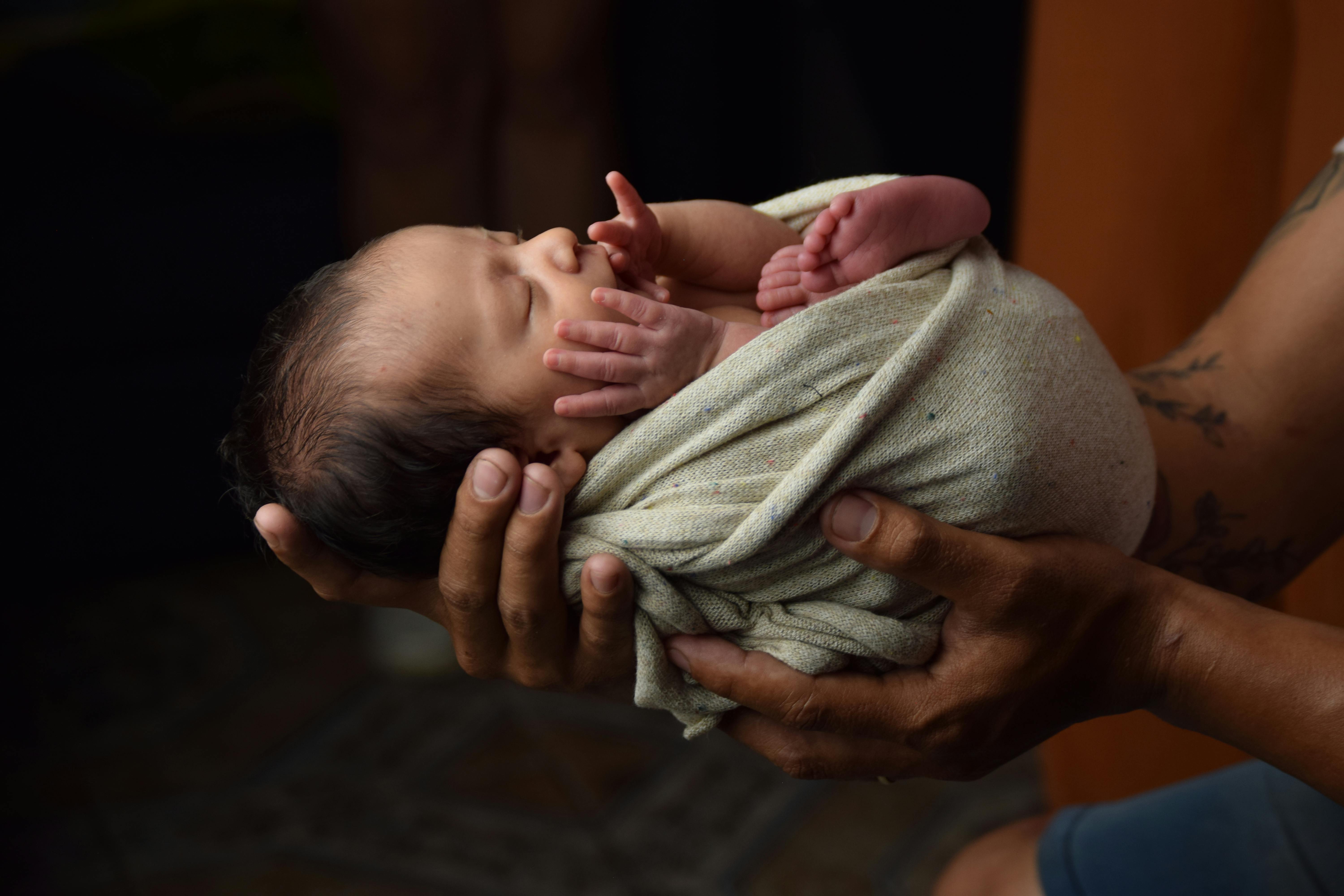 The Role of Sleep in Brain Optimization