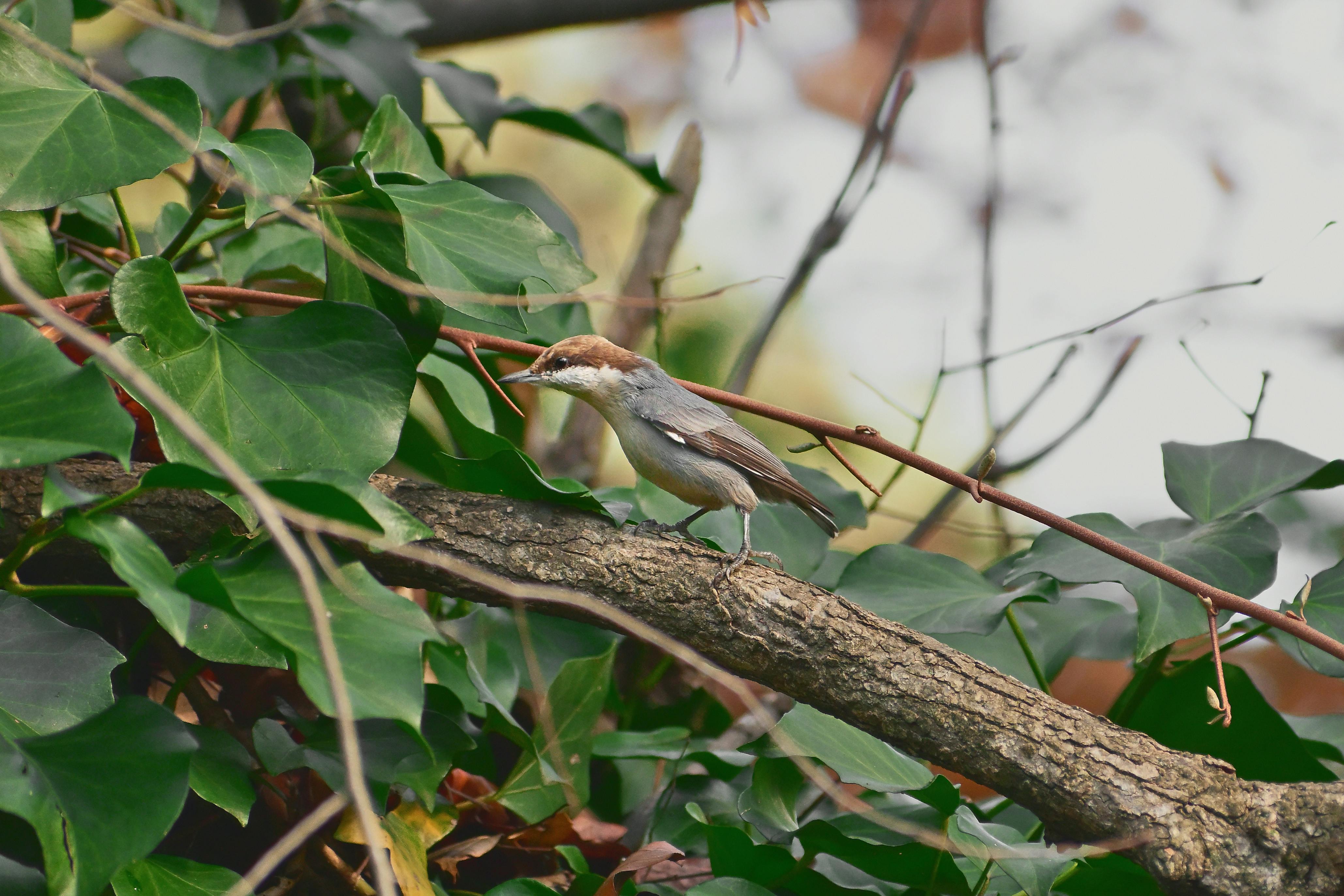 Travel image of destination