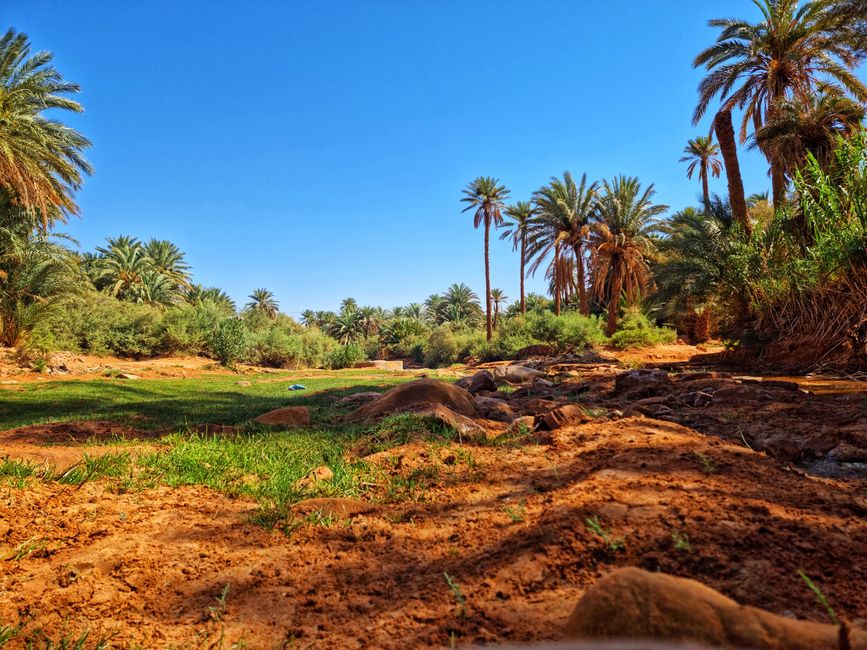Carte de Résident Investisseur Algérie — Guide ANDI Immigration 2026