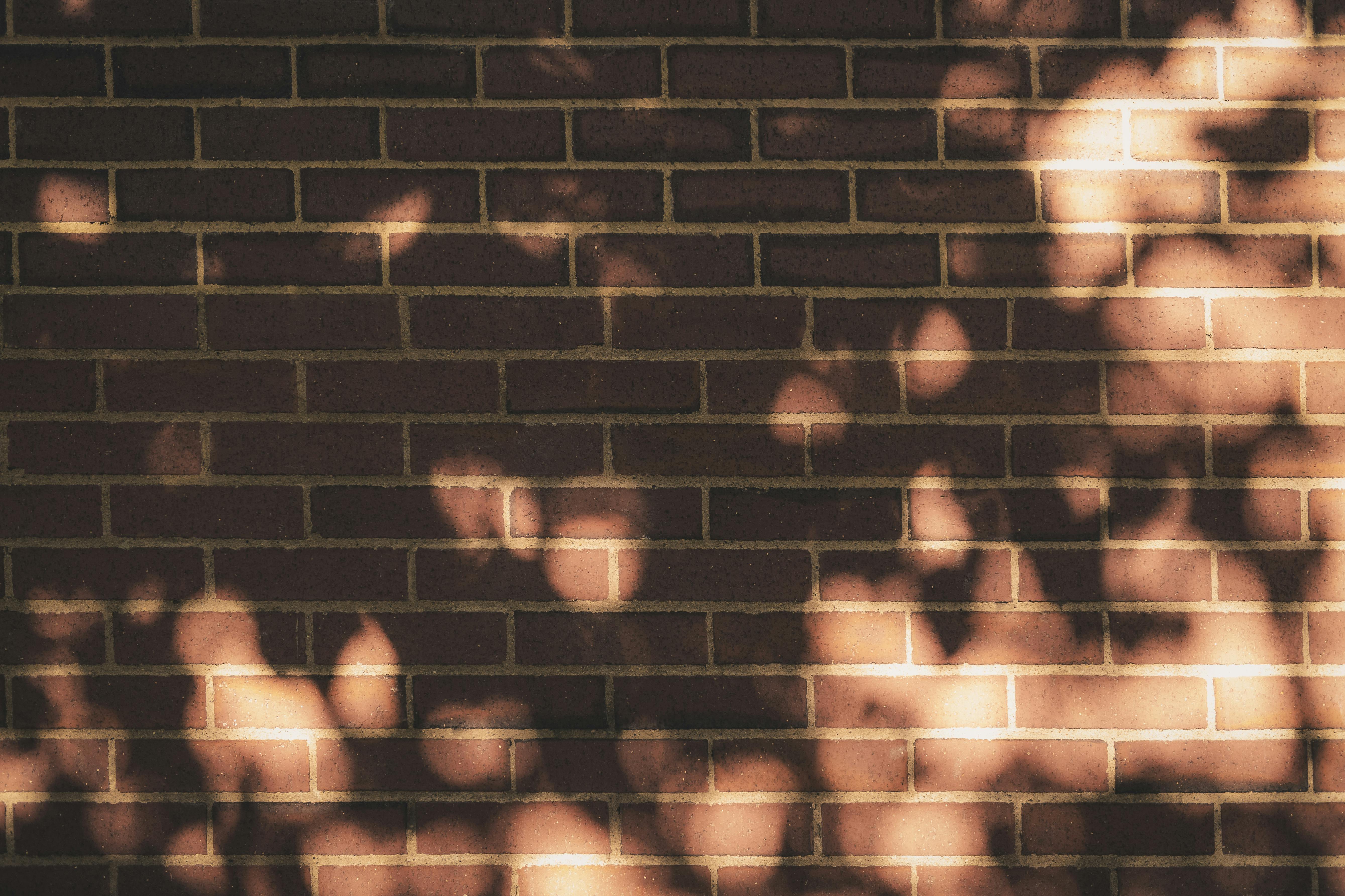 無料 斑点模様の日光が抽象的な模様と温かみのある質感を生み出すレンガの壁の芸術的な眺め。 写真素材