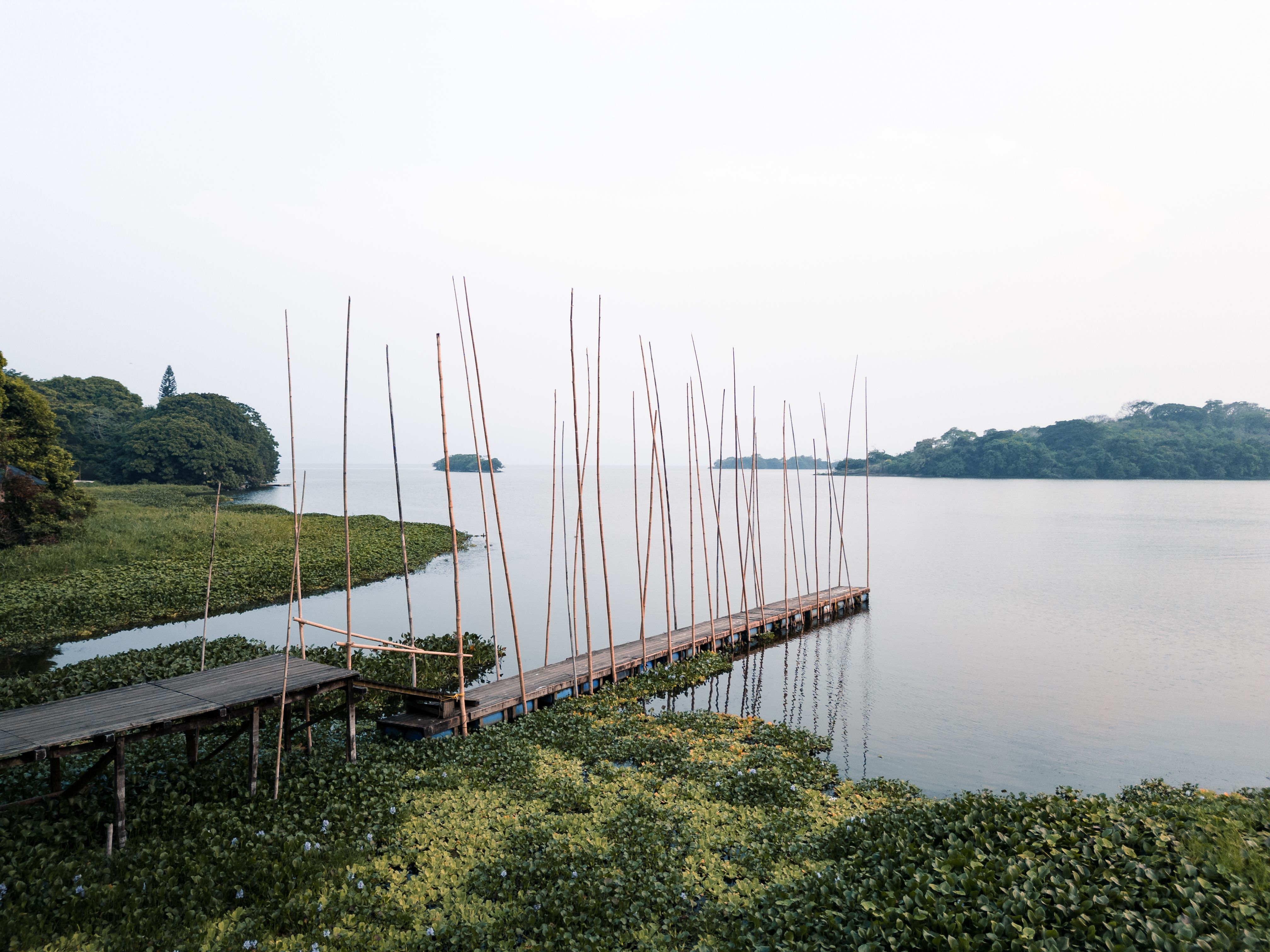 Serene Lakeside Pier with Lush Vegetation · Free Stock Photo