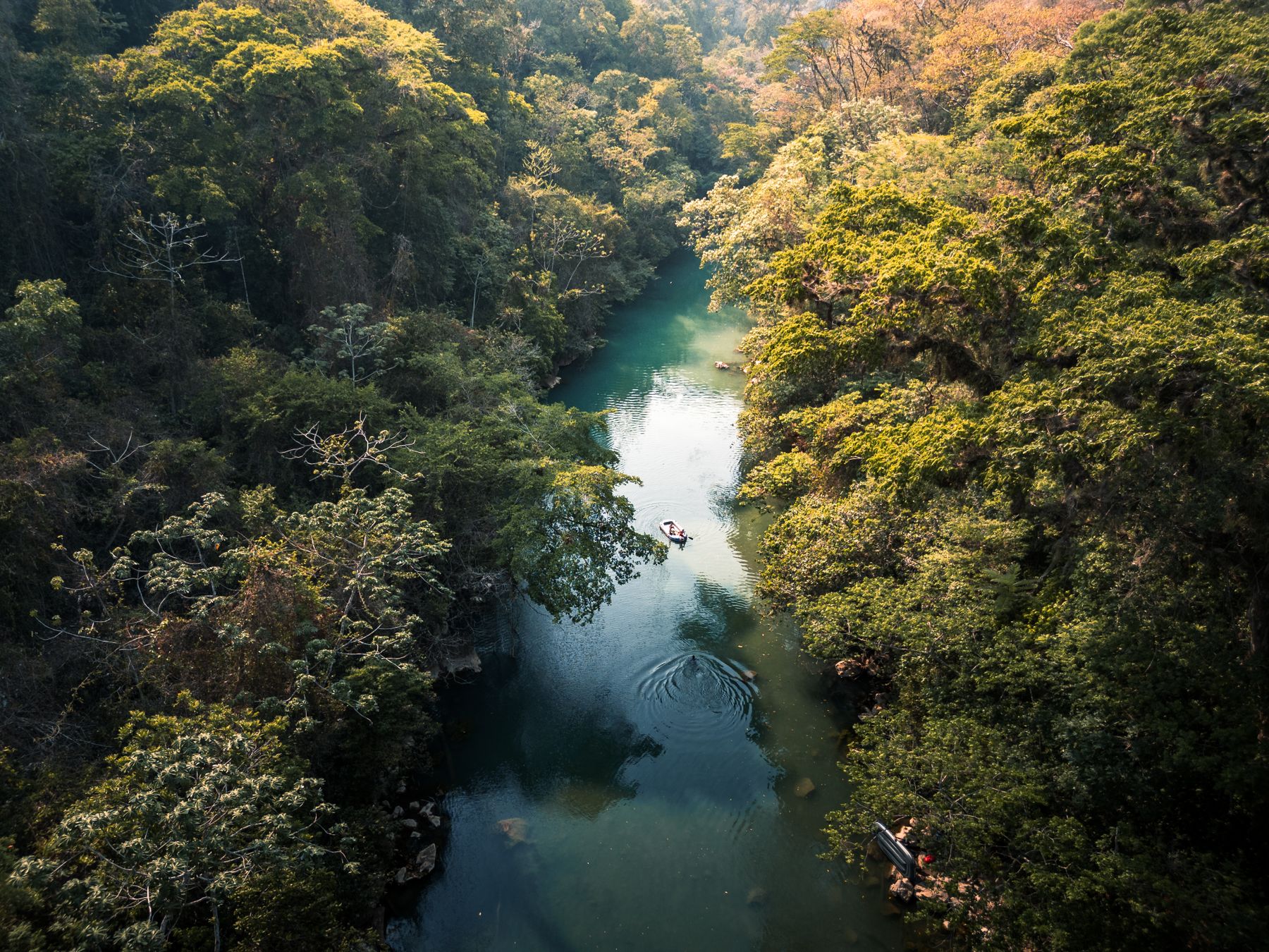 River winding through forest