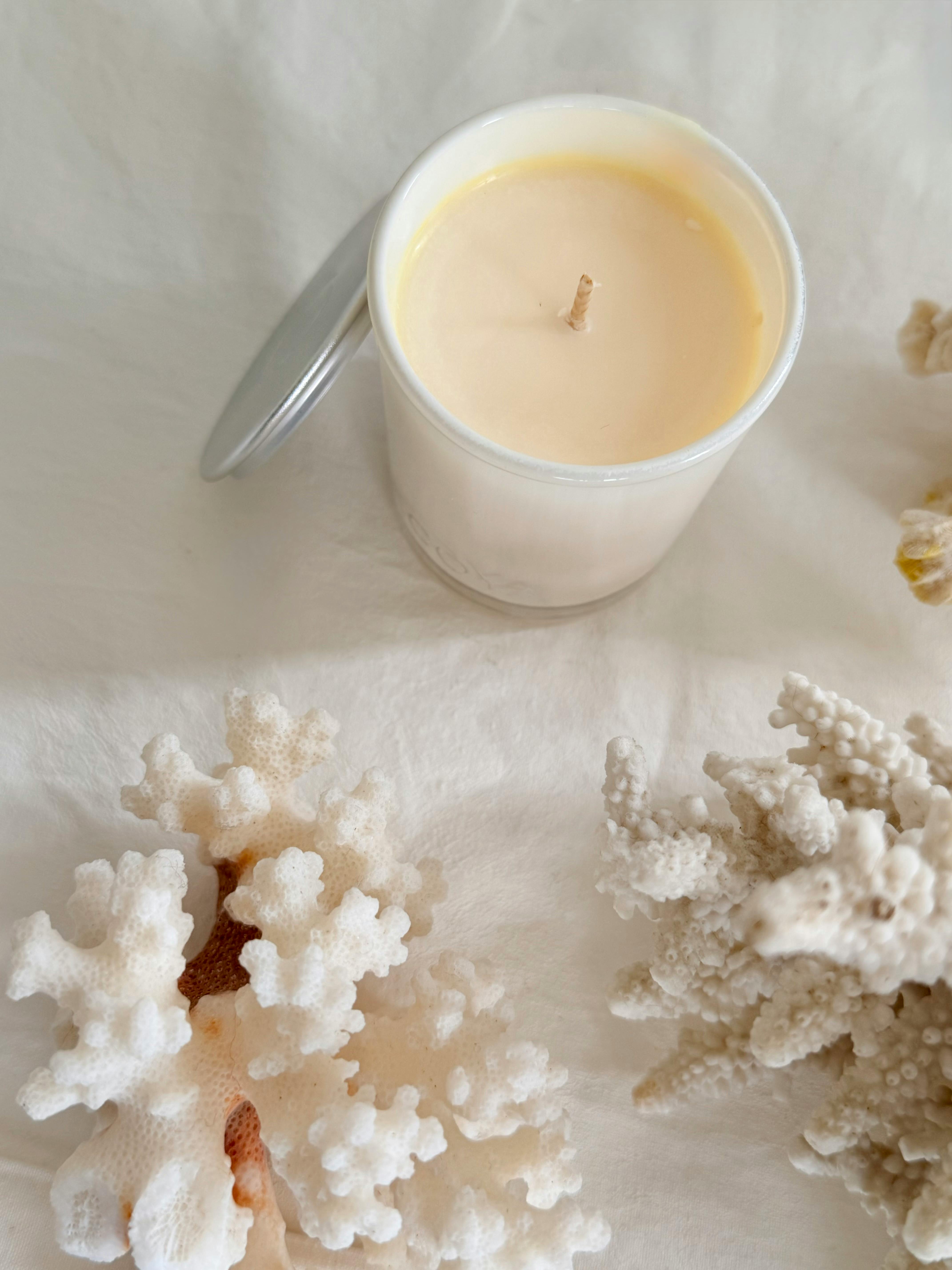 Aesthetic white candle surrounded by coral for home decor inspiration.