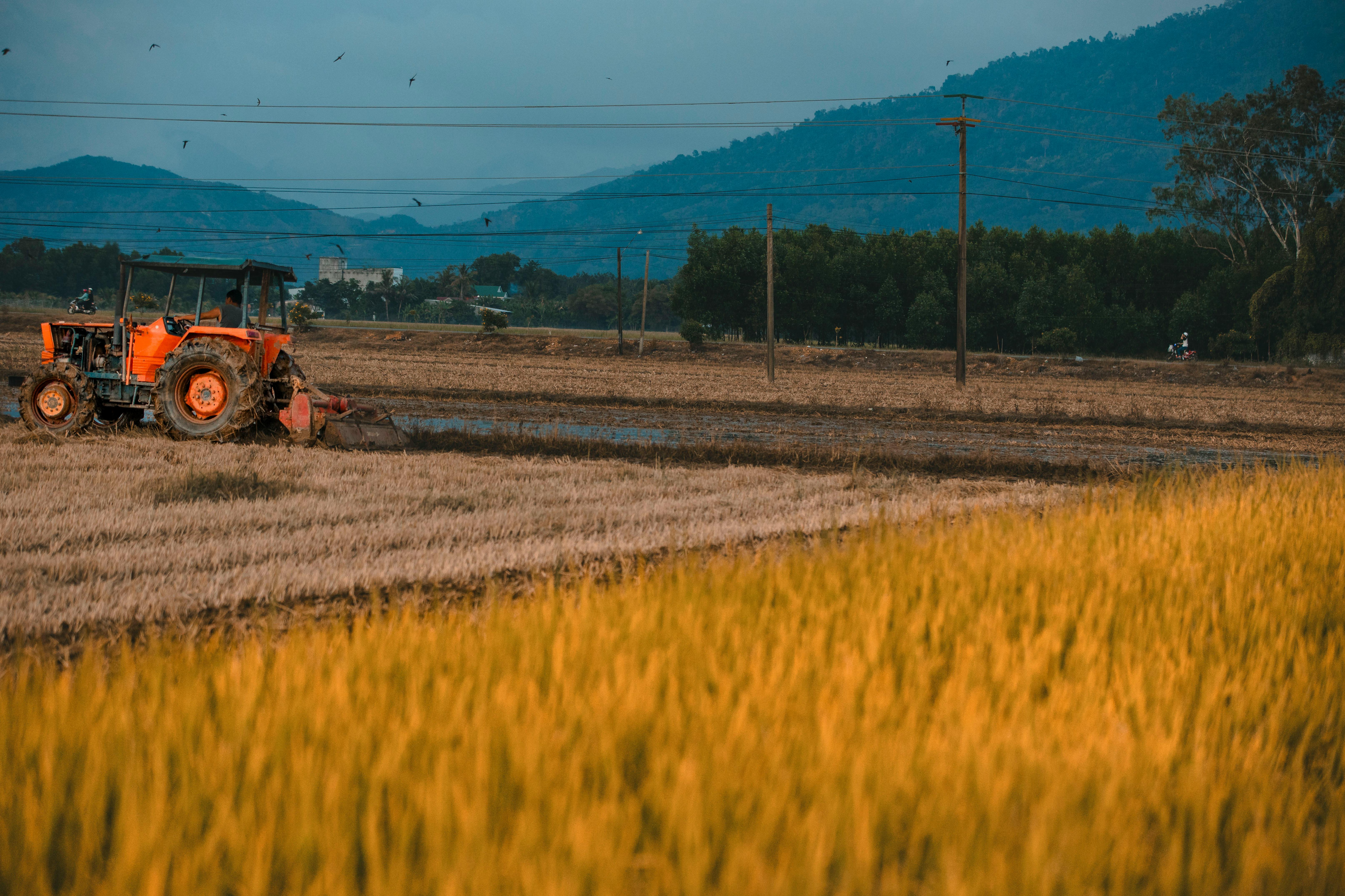 Biofarm insights image