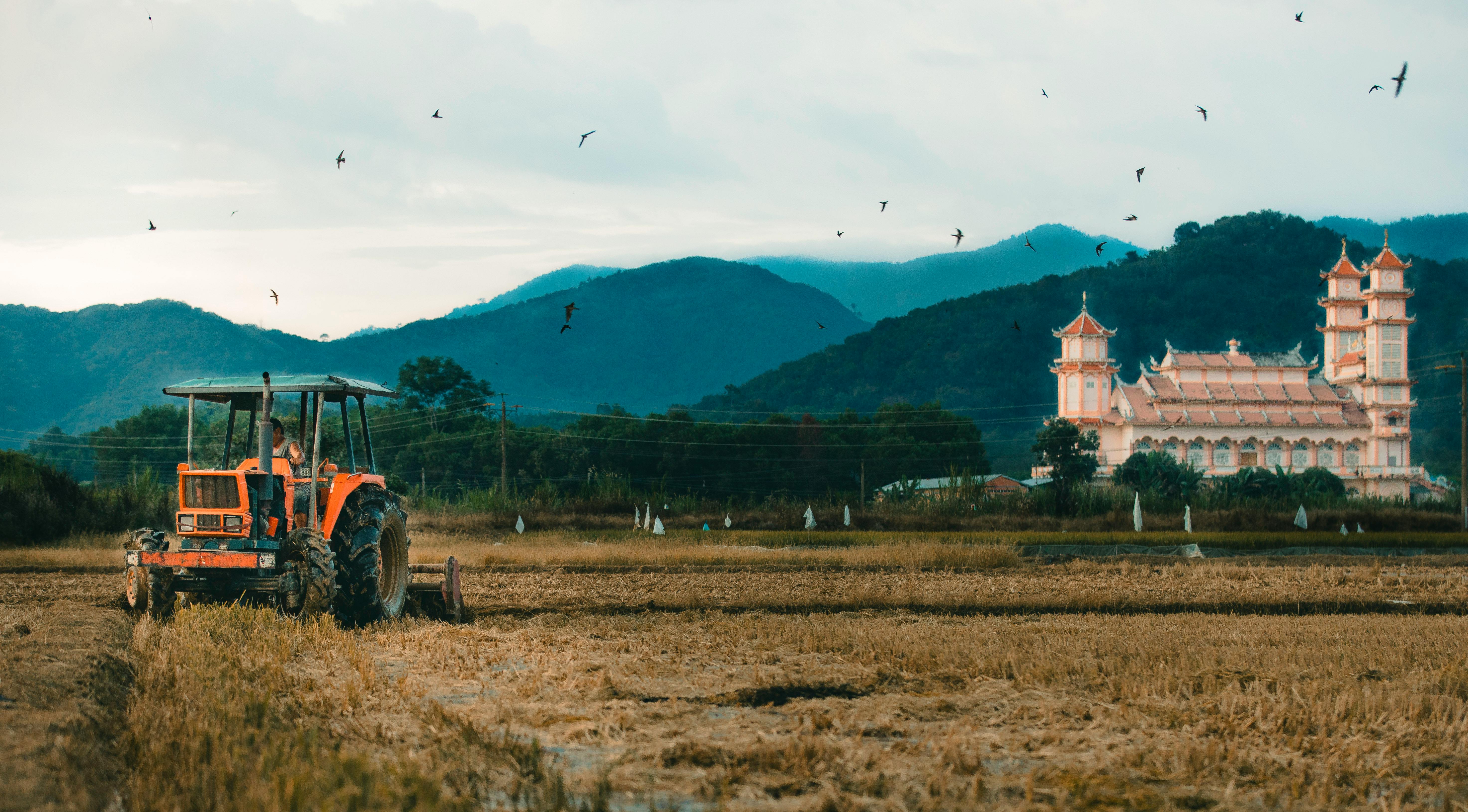 Macleania rupestris: Manejo y Propagación para Diversificación