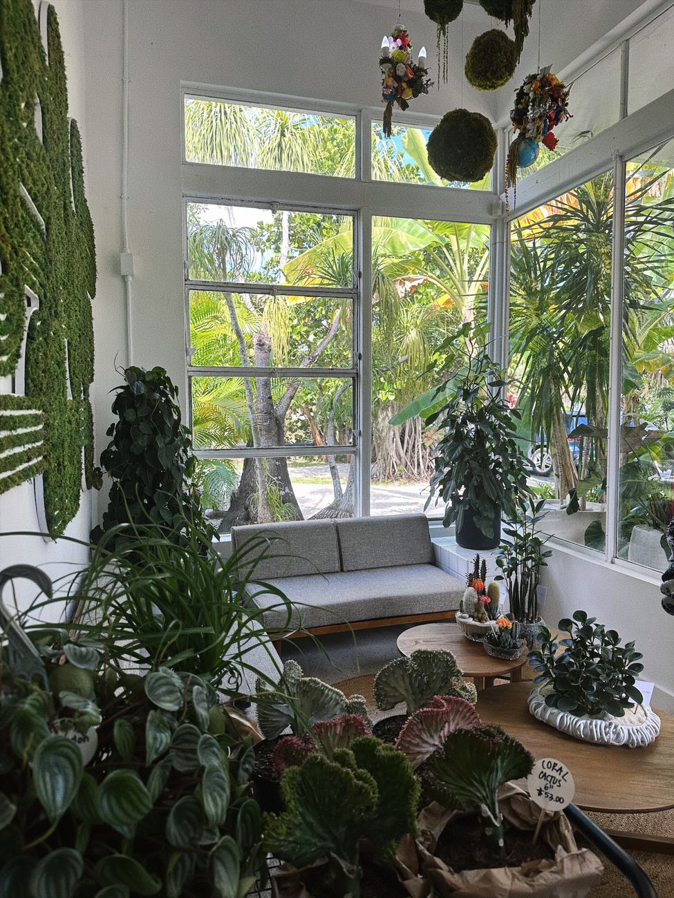 Bright indoor space adorned with lush plants and modern decor, reflecting a tropical ambiance.