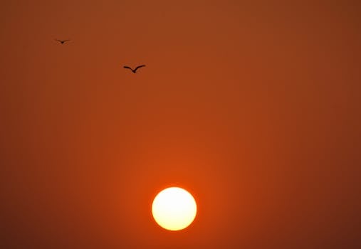 Captivating sunrise with birds flying over a beach in Mumbai, India.