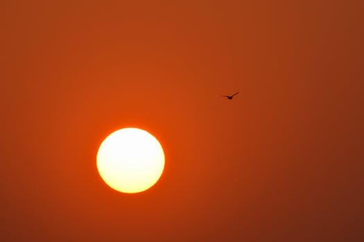 A mesmerizing sunrise with a bird silhouette against an orange sky in Mumbai.