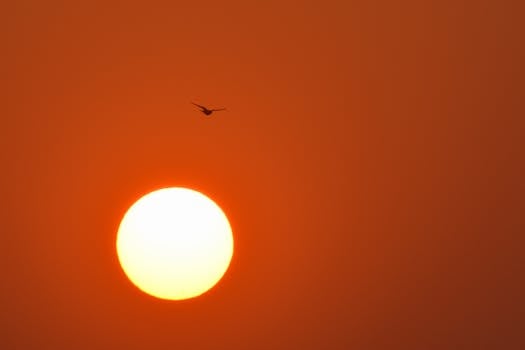 A captivating sunrise in Mumbai with a bird silhouette against a golden sky.