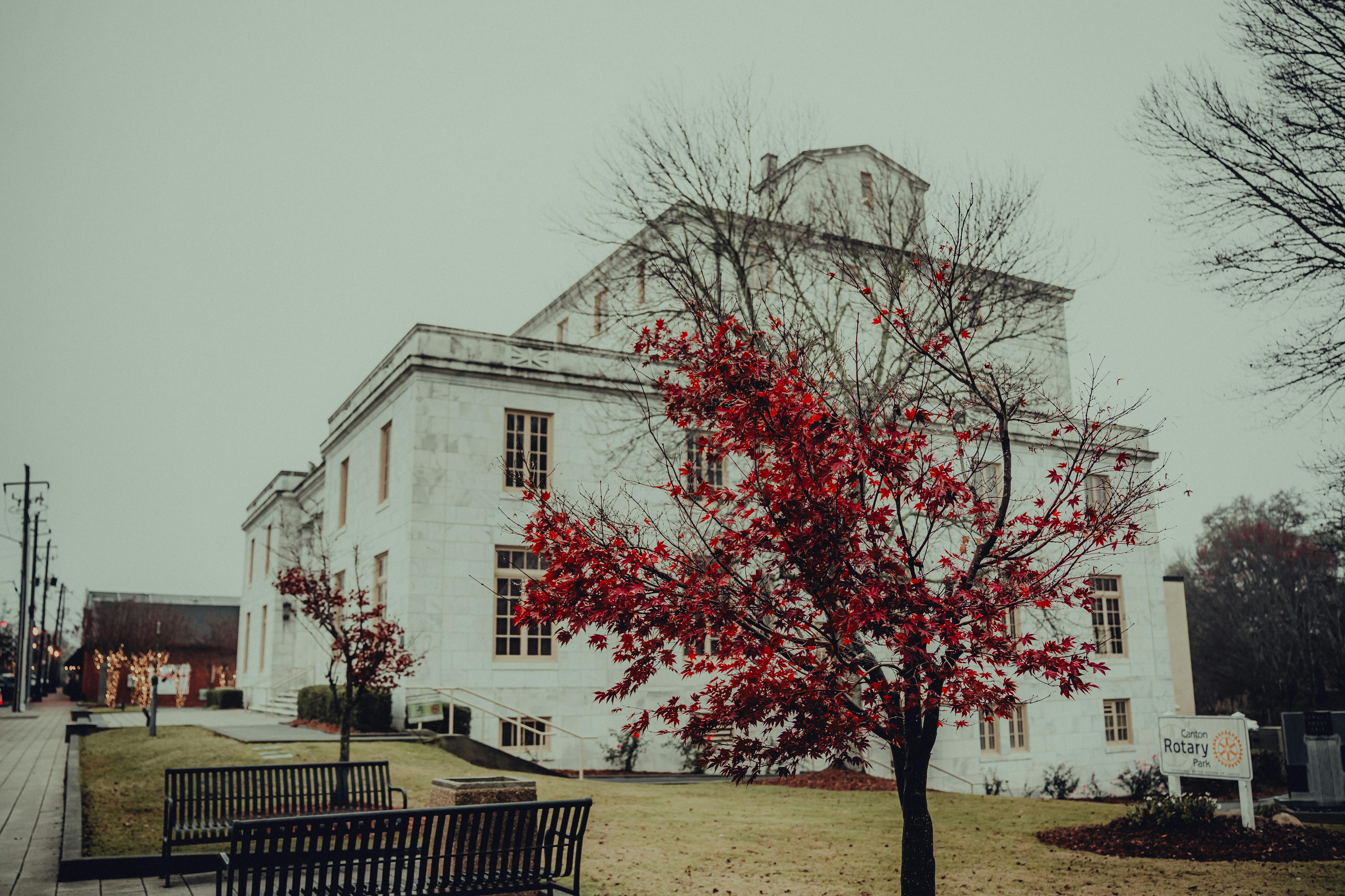 Free stock photo of 4k wallpaper, abstract wallpaper, aesthetic wallpaper