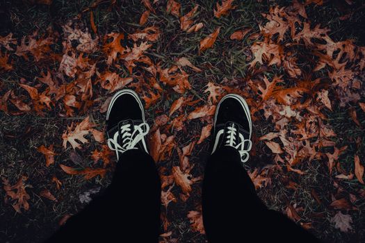 Top-down view of casual sneakers on a carpet of autumn leaves, creating a vibrant fall atmosphere.