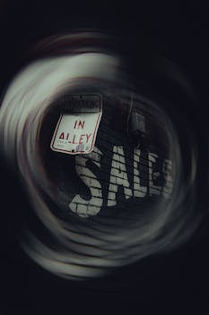 Artistic photo featuring a no parking sign in an atmospheric urban alley.