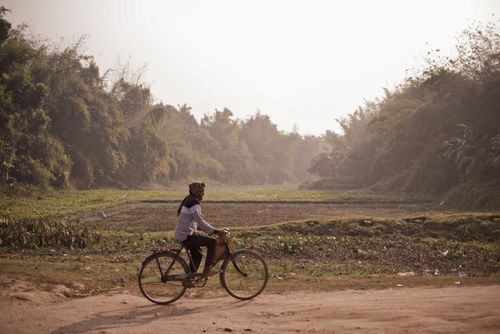 Free A man on a bicycle travels through a quiet rural village road in India during winter morning, surrounded by fog and nature. Stock Photo