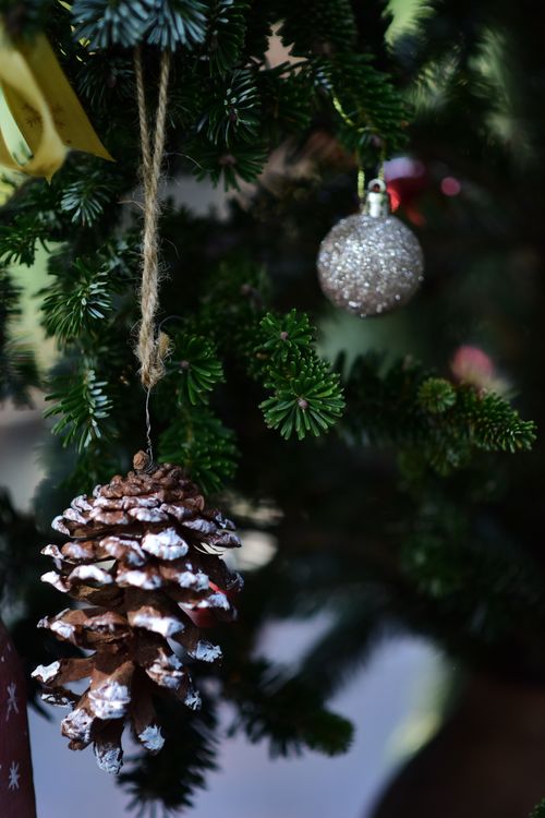 Free Close-up of a Christmas tree with a snowy pinecone and glittery bauble ornament. Stock Photo
