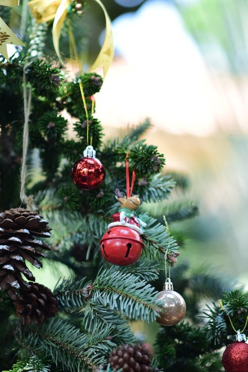 Free Christmas tree decorated with red ornaments, pinecones, and a jingle bell under natural light. Stock Photo