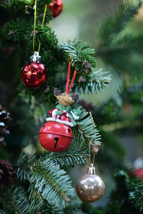 Free Close-up of a Christmas tree branch with red and gold ornaments and a jingle bell. Stock Photo