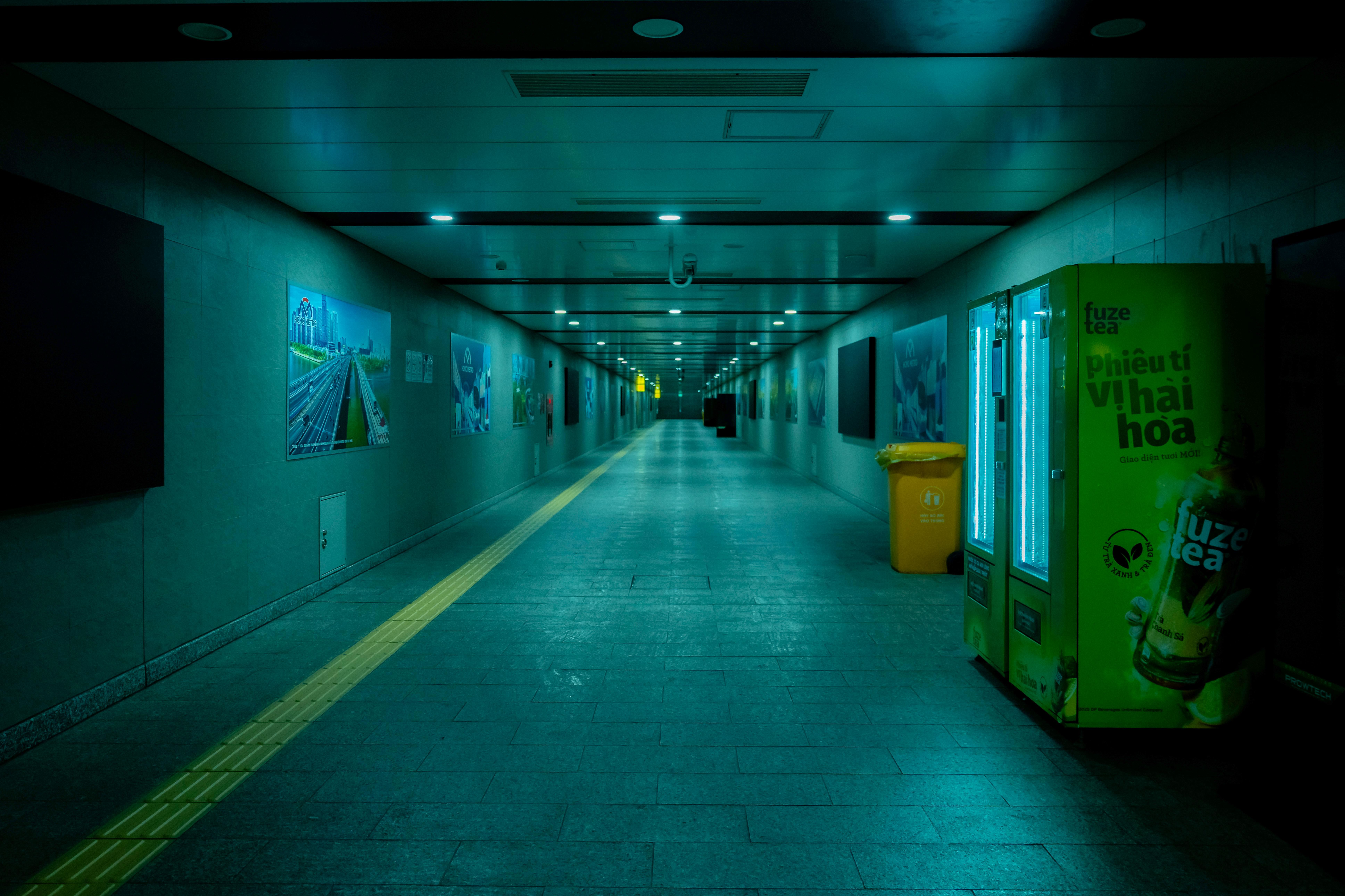 Exploring the Future of Transportation