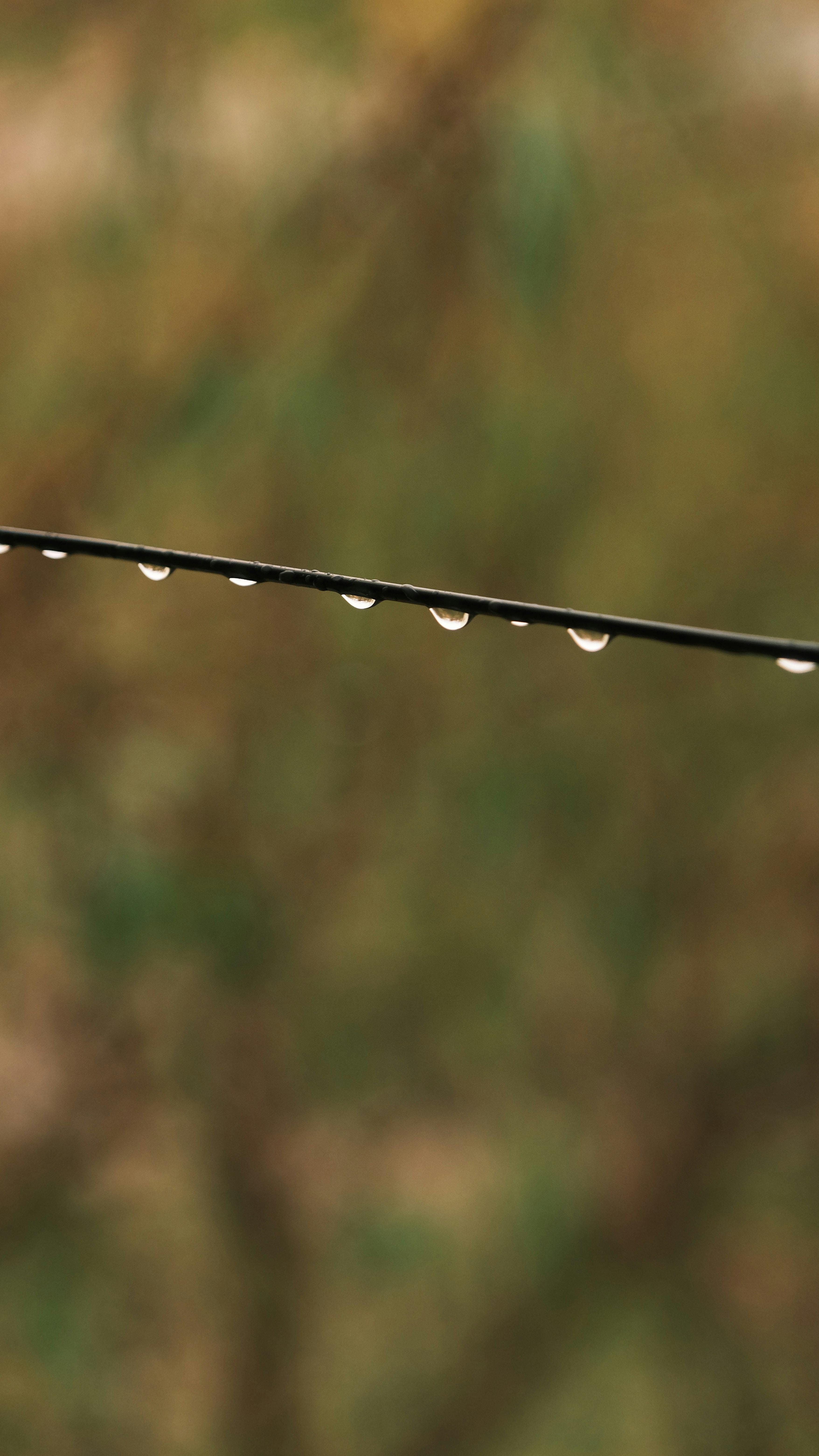 Kostnadsfria Kostnadsfri bild av @utomhus, bokeh, cirkel Stock foto