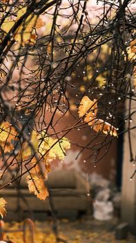 Raindrops on bare branches with autumn leaves in a cozy outdoor setting.