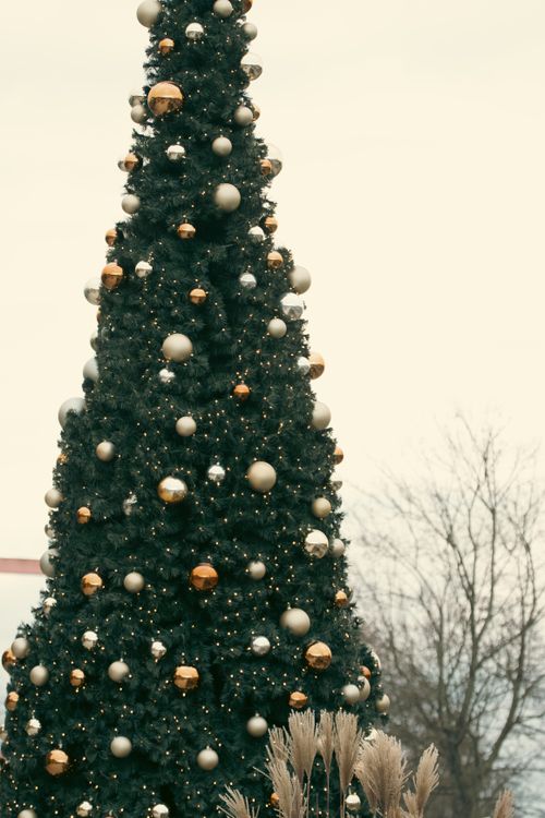 Free Elegant Christmas tree adorned with decorations in Jönköping, Sweden captures winter holiday spirit. Stock Photo