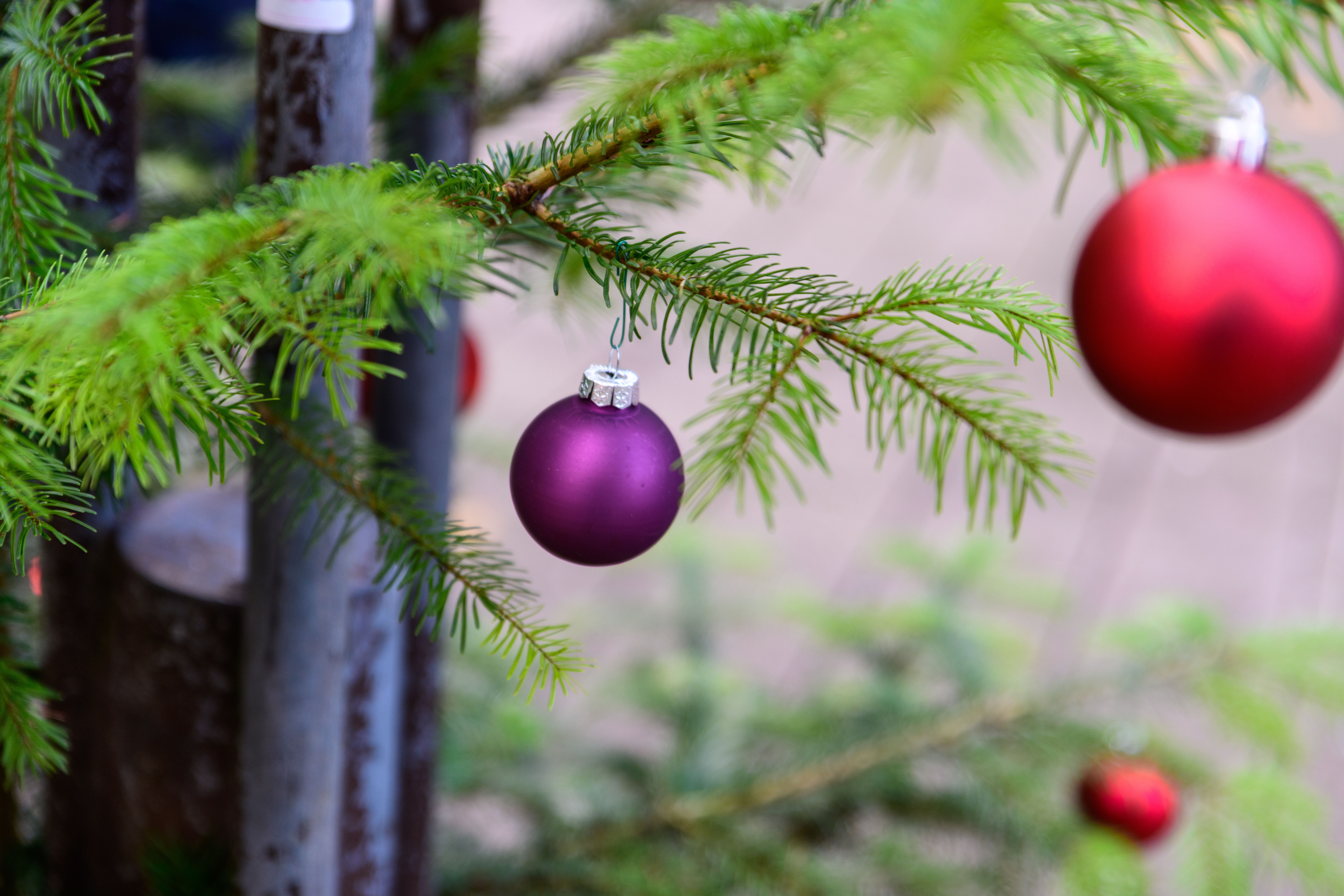 Cele mai bune frigidere eco pentru familii