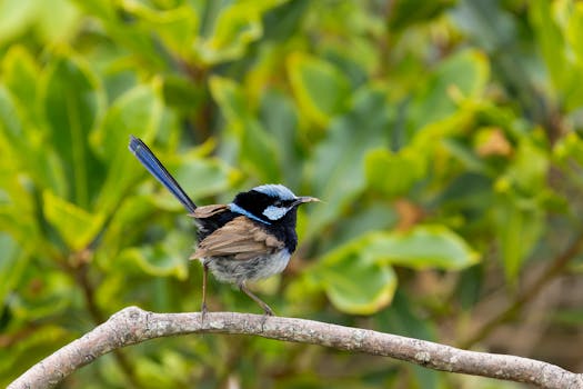 Photo by Stuart  Robinson