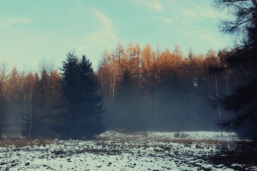 Free A few photos from my phone - Brdy, Zaječov etc… Stock Photo