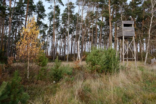 Photo by Roman Biernacki