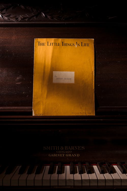 The Little Things in Life Song Book
