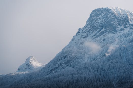 Serene view of a snow-covered mountain peak and forest in winter, capturing nature's tranquil beauty.