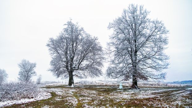 Tranquil winter scene with frosty trees and a snowman in a snowy countryside.