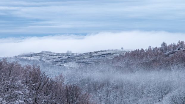 A tranquil winter scene featuring mist-covered hills and snowy trees under a soft blue sky.