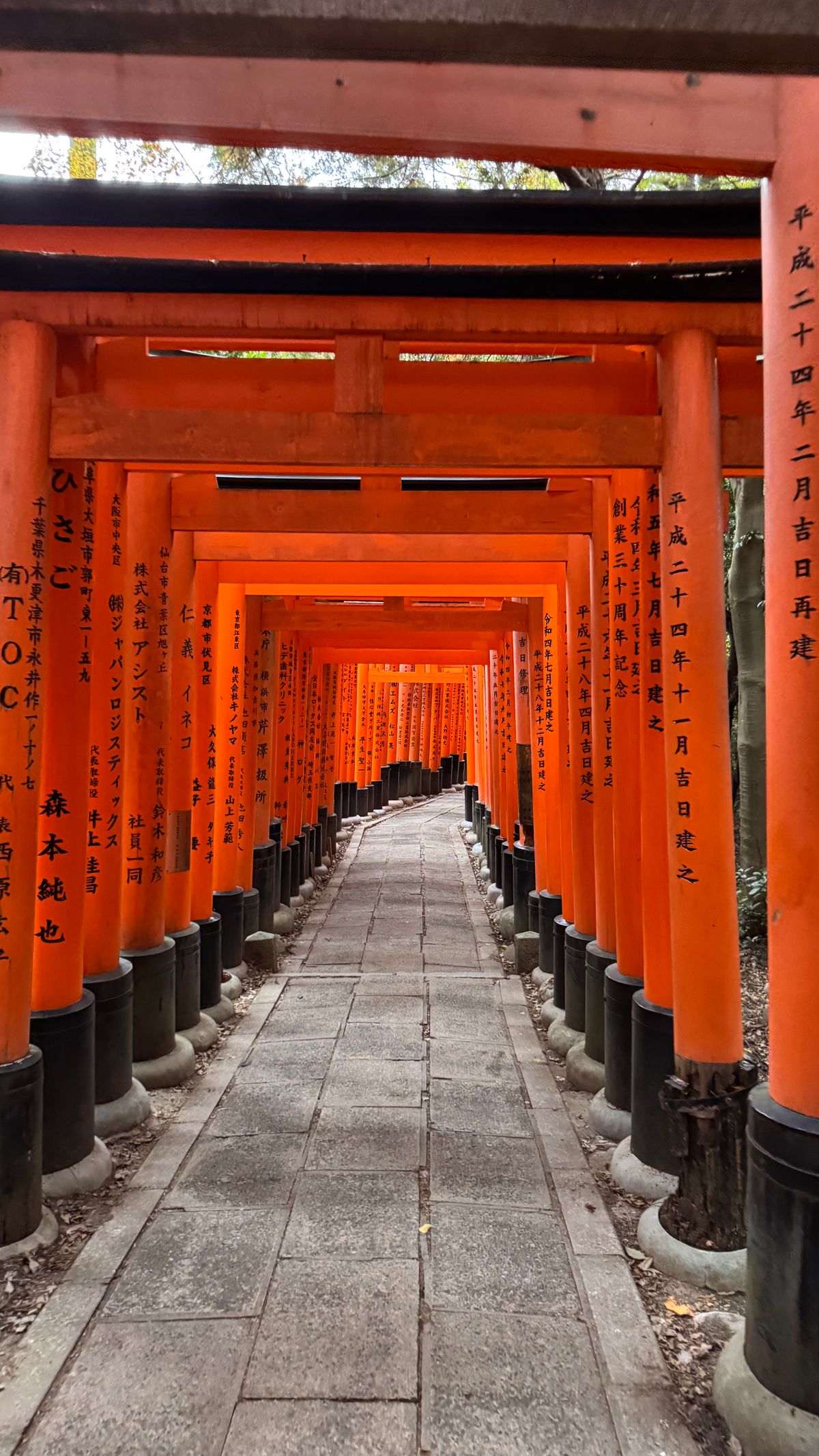 The vermilion torii gates of Fushimi Inari Shrine, Kyoto — 10,000 gates form a tunnel up the mountain