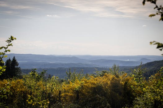 Peaceful Bavarian landscape with lush greenery and distant hills under a clear sky.