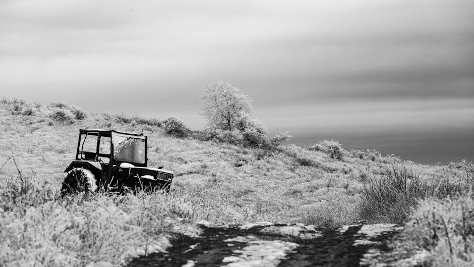 别想了,先迈出第一步